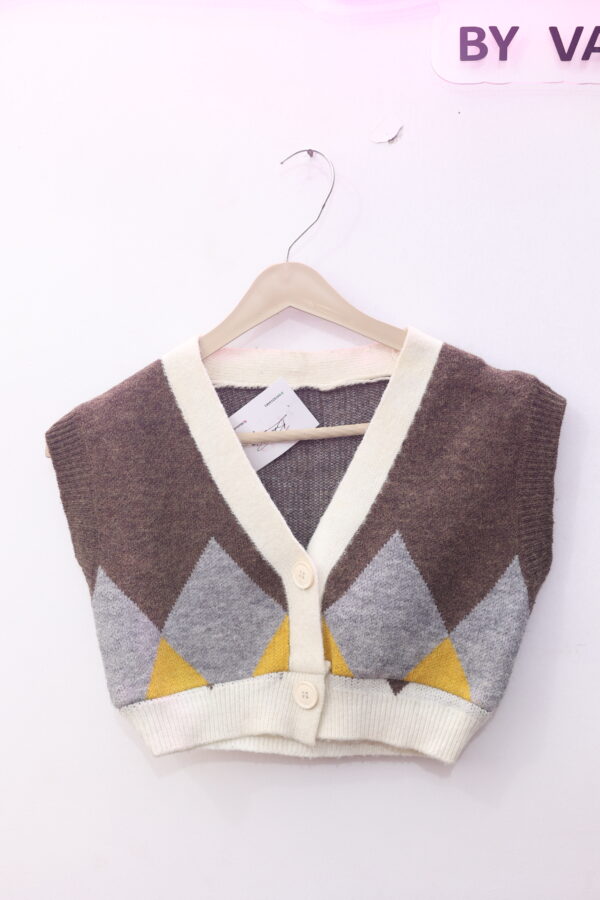 Argyle Knit Button-Up Vest - Image 3